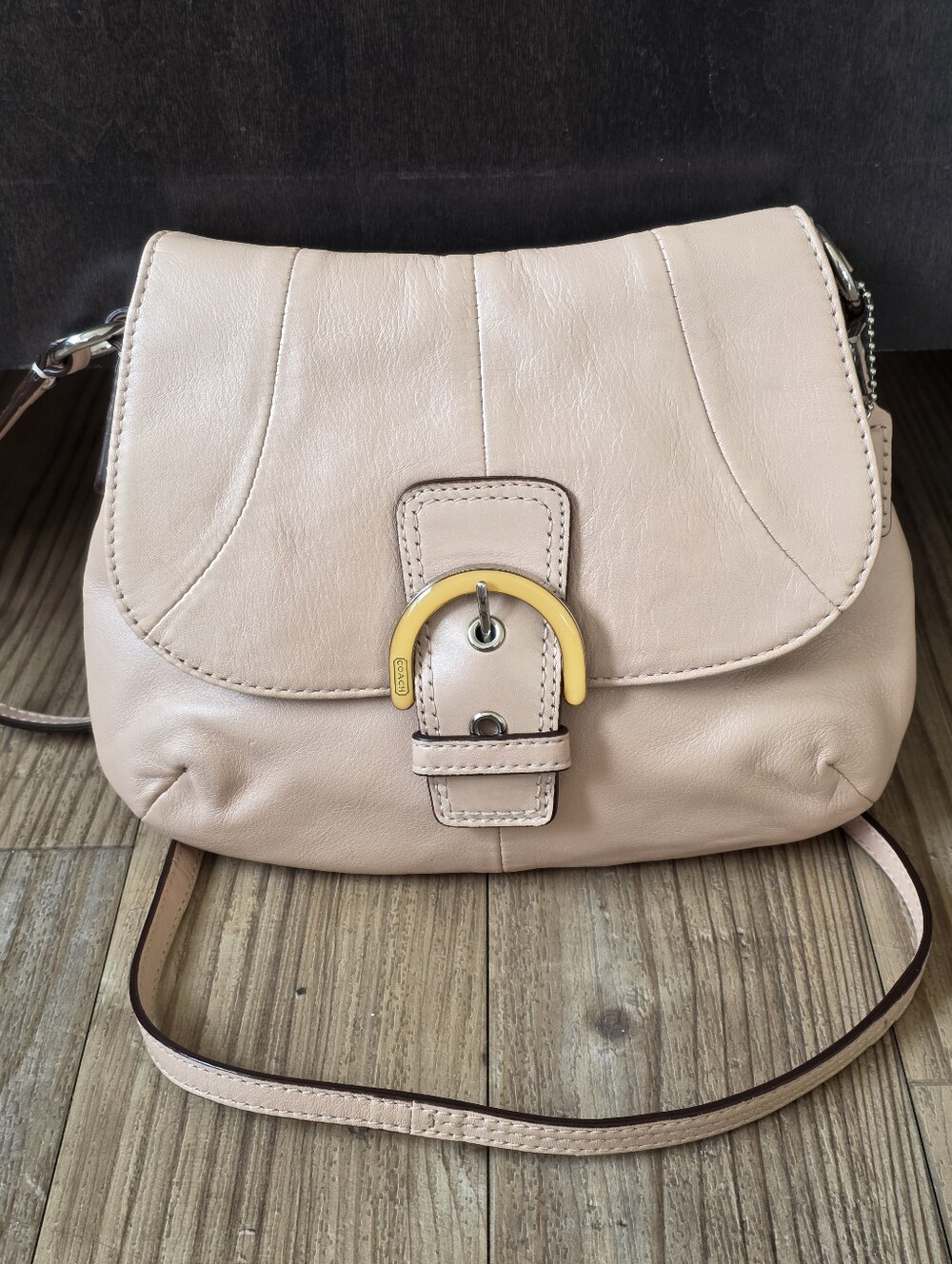Coach Blush Pink Leather Crossbody with Gold-Tone Buckle